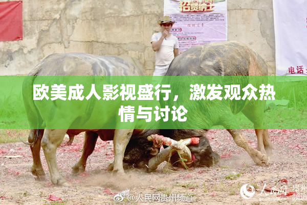 欧美成人影视盛行，激发观众热情与讨论
