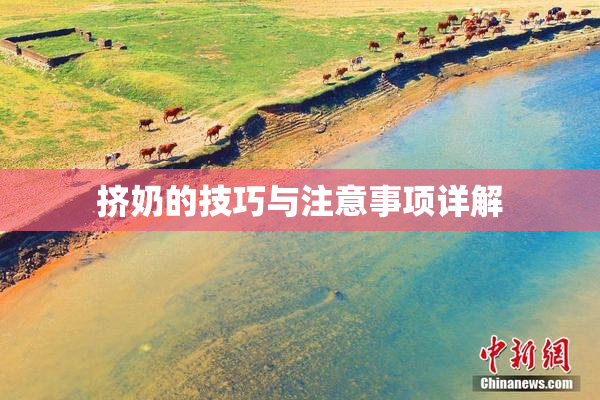 挤奶的技巧与注意事项详解