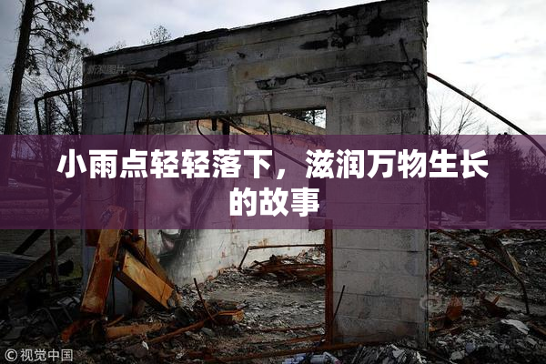 小雨点轻轻落下，滋润万物生长的故事