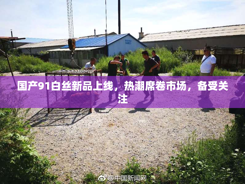国产91白丝新品上线，热潮席卷市场，备受关注