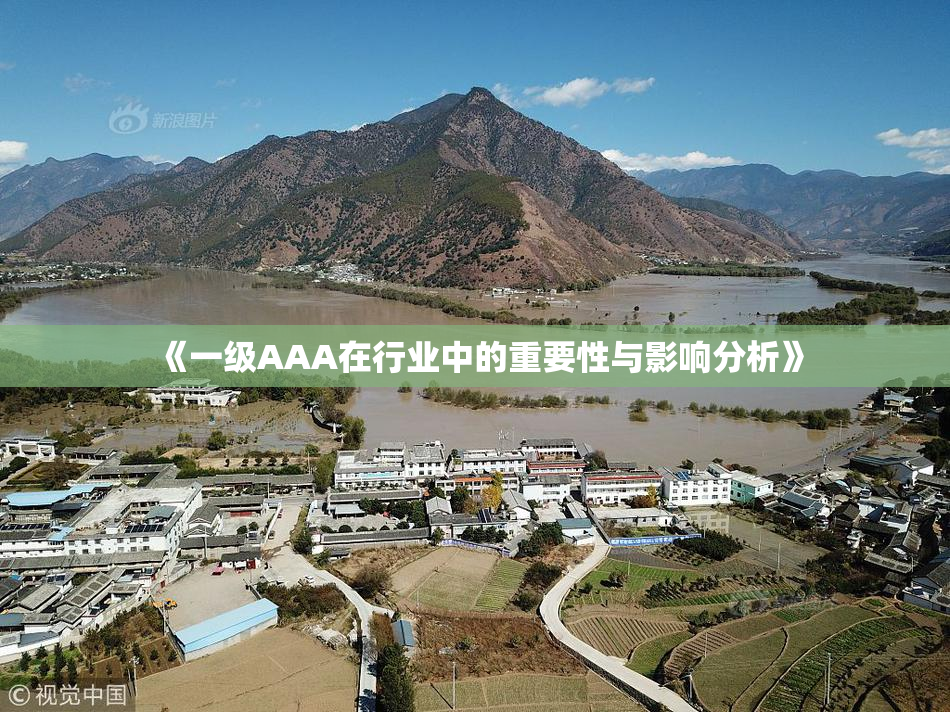 《一级AAA在行业中的重要性与影响分析》