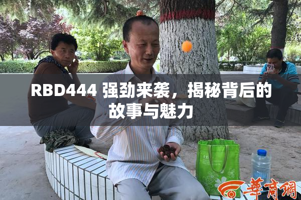 RBD444 强劲来袭，揭秘背后的故事与魅力