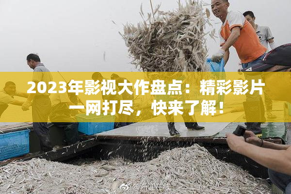 2023年影视大作盘点：精彩影片一网打尽，快来了解！
