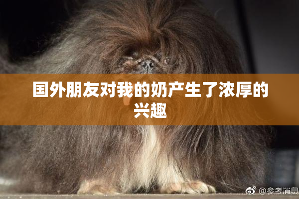国外朋友对我的奶产生了浓厚的兴趣