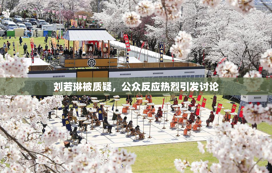 刘若琳被质疑，公众反应热烈引发讨论