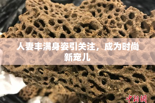 人妻丰满身姿引关注，成为时尚新宠儿
