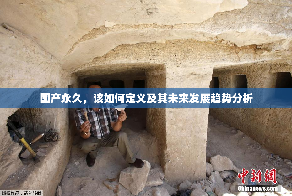 国产永久，该如何定义及其未来发展趋势分析