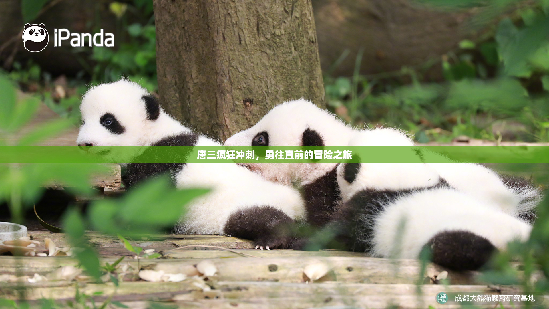 唐三疯狂冲刺，勇往直前的冒险之旅