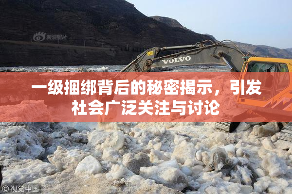 一级捆绑背后的秘密揭示，引发社会广泛关注与讨论