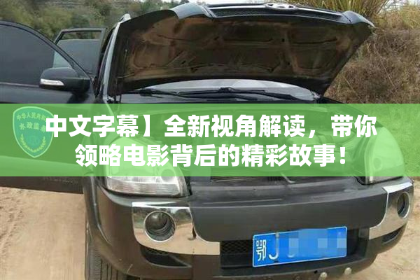 中文字幕】全新视角解读，带你领略电影背后的精彩故事！