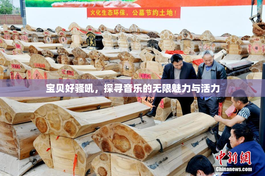 宝贝好骚吼，探寻音乐的无限魅力与活力