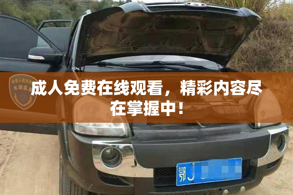 成人免费在线观看，精彩内容尽在掌握中！