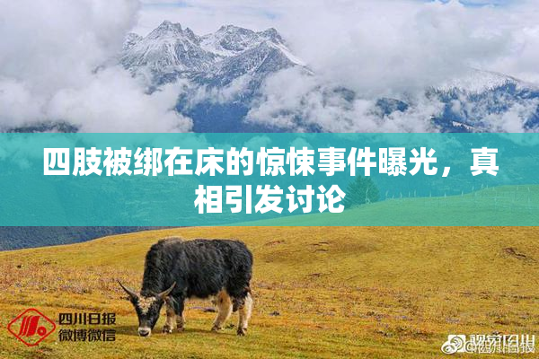 四肢被绑在床的惊悚事件曝光，真相引发讨论