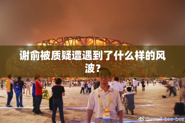 谢俞被质疑遭遇到了什么样的风波？