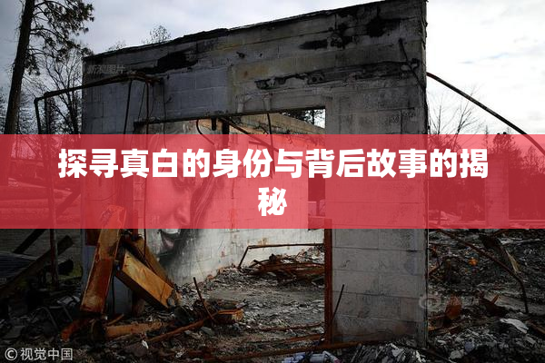 探寻真白的身份与背后故事的揭秘
