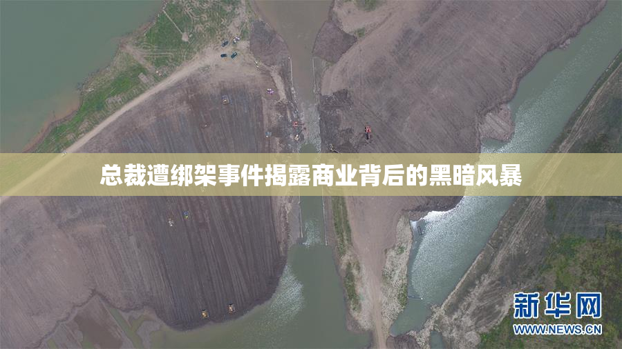 总裁遭绑架事件揭露商业背后的黑暗风暴