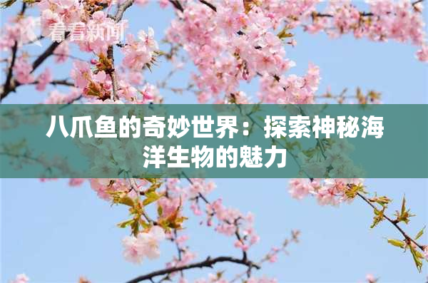 八爪鱼的奇妙世界：探索神秘海洋生物的魅力