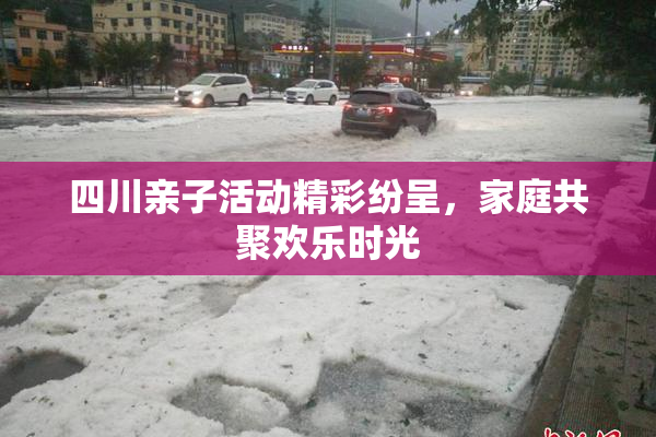 四川亲子活动精彩纷呈，家庭共聚欢乐时光