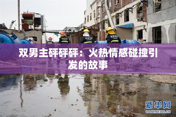 双男主砰砰砰：火热情感碰撞引发的故事