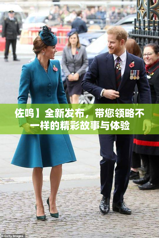 佐鸣】全新发布，带您领略不一样的精彩故事与体验