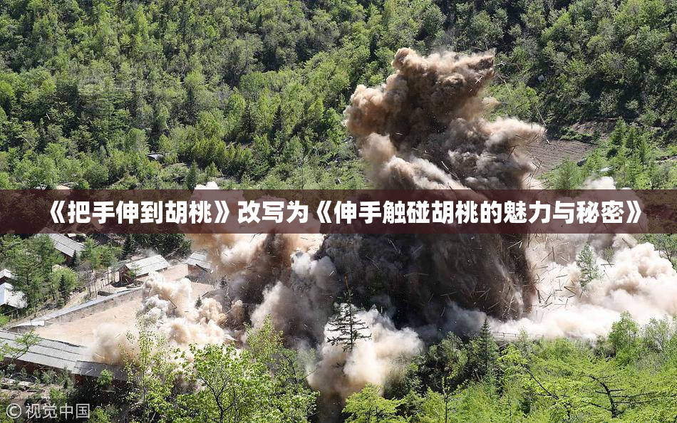 《把手伸到胡桃》改写为《伸手触碰胡桃的魅力与秘密》
