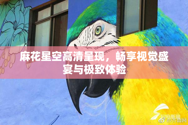 麻花星空高清呈现，畅享视觉盛宴与极致体验