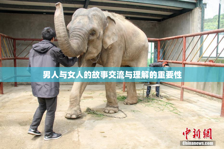 男人与女人的故事交流与理解的重要性