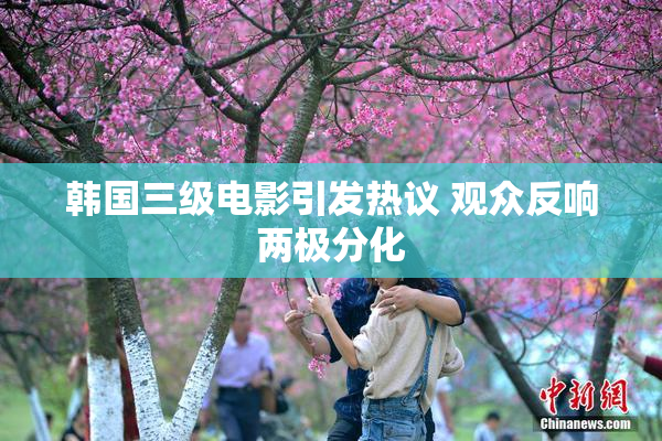 韩国三级电影引发热议 观众反响两极分化