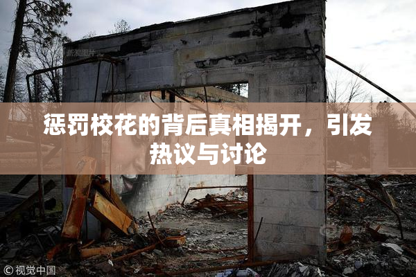 惩罚校花的背后真相揭开，引发热议与讨论