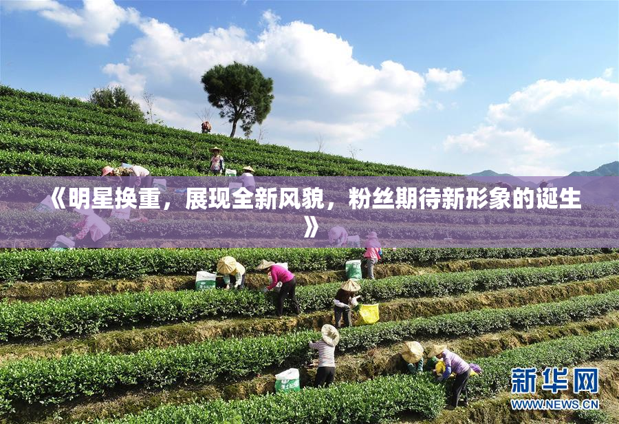 《明星换重，展现全新风貌，粉丝期待新形象的诞生》