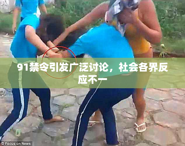 91禁令引发广泛讨论，社会各界反应不一