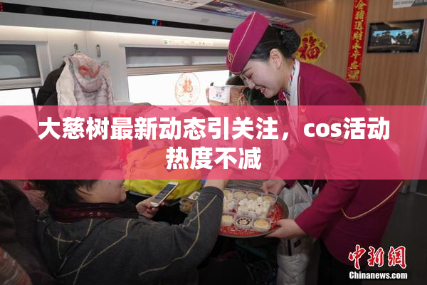 大慈树最新动态引关注，cos活动热度不减