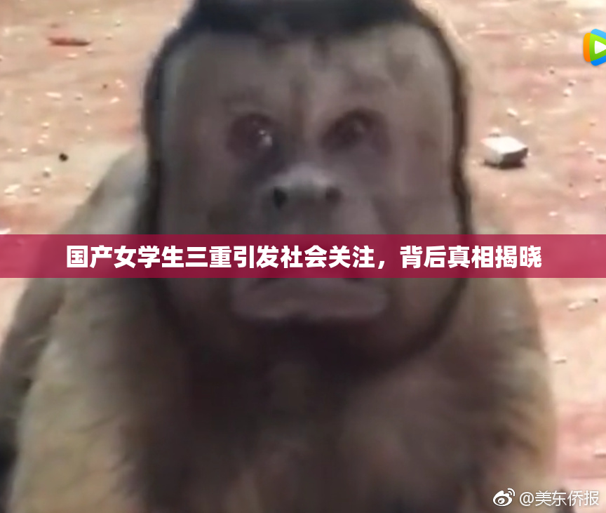 国产女学生三重引发社会关注，背后真相揭晓