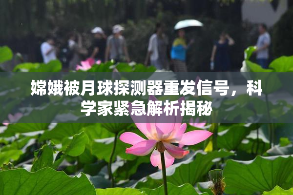 嫦娥被月球探测器重发信号，科学家紧急解析揭秘