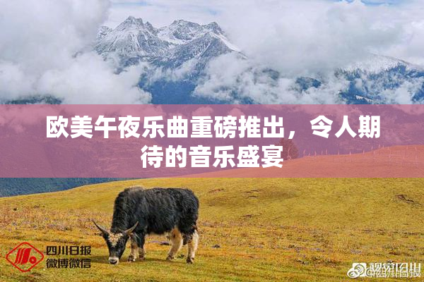 欧美午夜乐曲重磅推出，令人期待的音乐盛宴