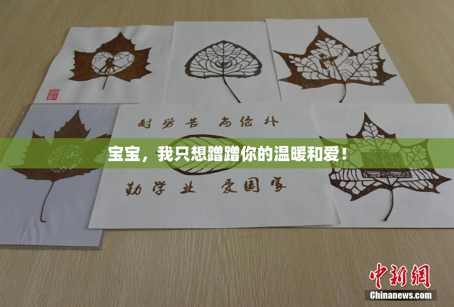 宝宝，我只想蹭蹭你的温暖和爱！