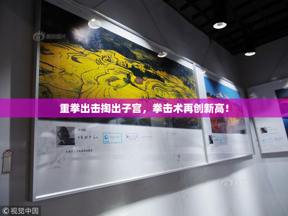 重拳出击掏出子宫，拳击术再创新高！