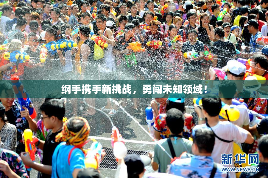 纲手携手新挑战，勇闯未知领域！
