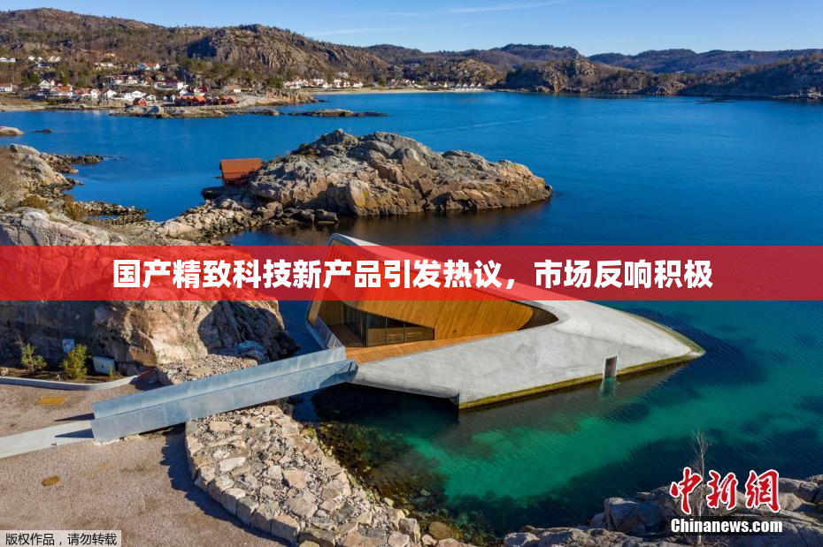 国产精致科技新产品引发热议，市场反响积极