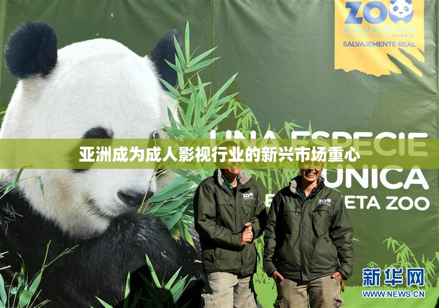 亚洲成为成人影视行业的新兴市场重心