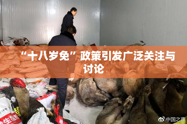“十八岁免”政策引发广泛关注与讨论