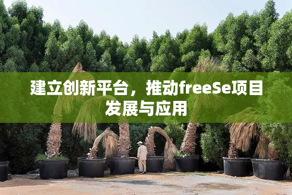 建立创新平台，推动freeSe项目发展与应用