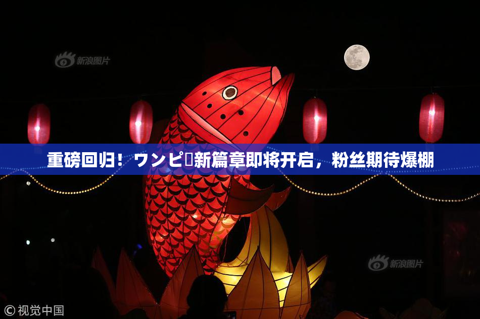 重磅回归！ワンピー新篇章即将开启，粉丝期待爆棚