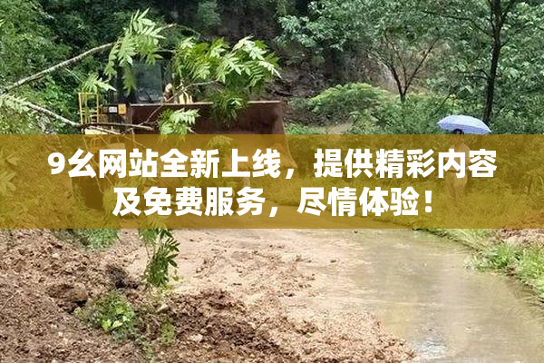 9幺网站全新上线，提供精彩内容及免费服务，尽情体验！