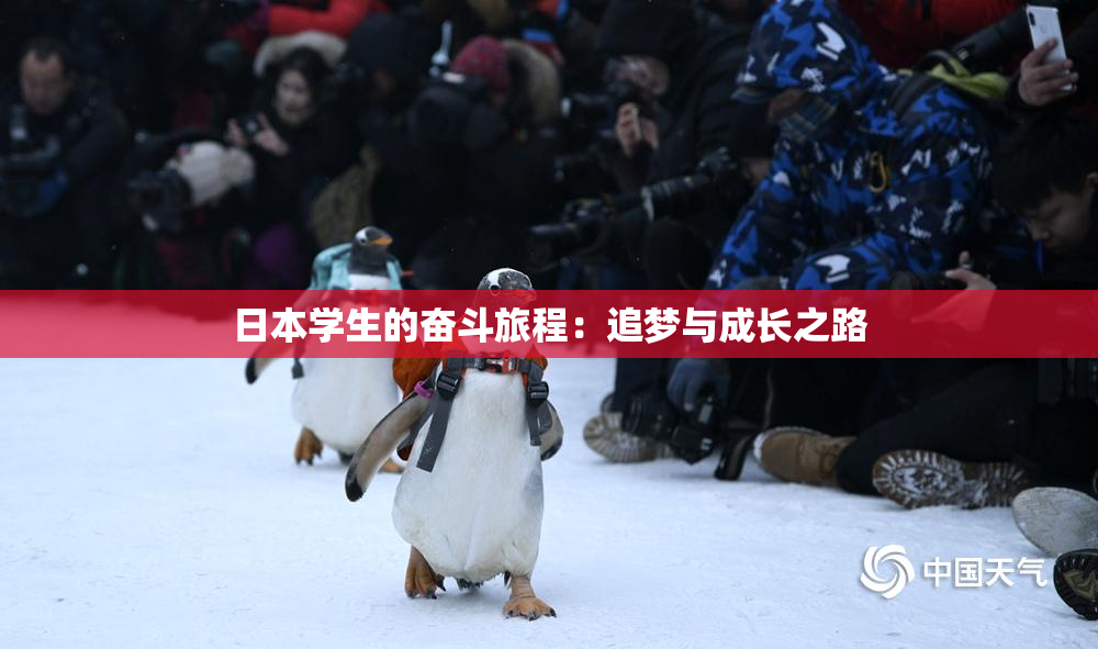 日本学生的奋斗旅程：追梦与成长之路