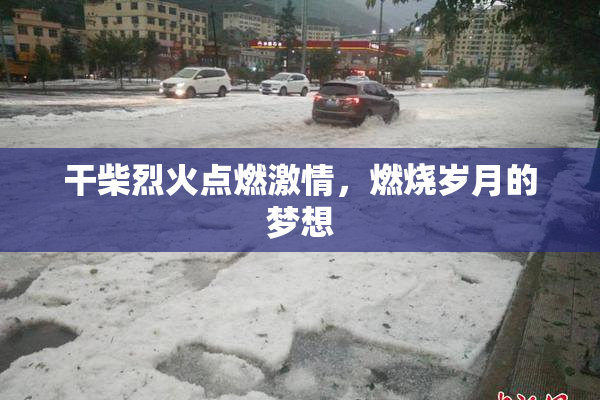 干柴烈火点燃激情，燃烧岁月的梦想