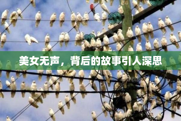 美女无声，背后的故事引人深思