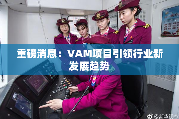 重磅消息：VAM项目引领行业新发展趋势