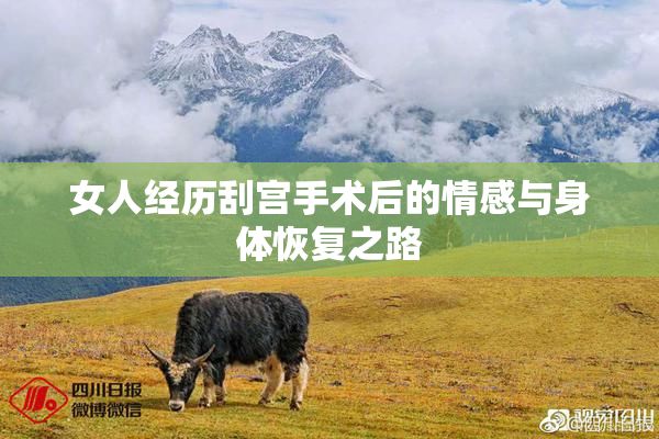 女人经历刮宫手术后的情感与身体恢复之路