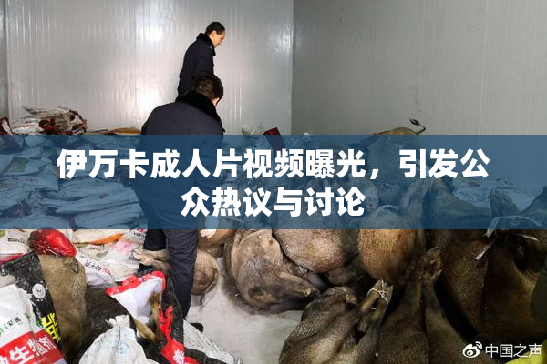 伊万卡成人片视频曝光，引发公众热议与讨论